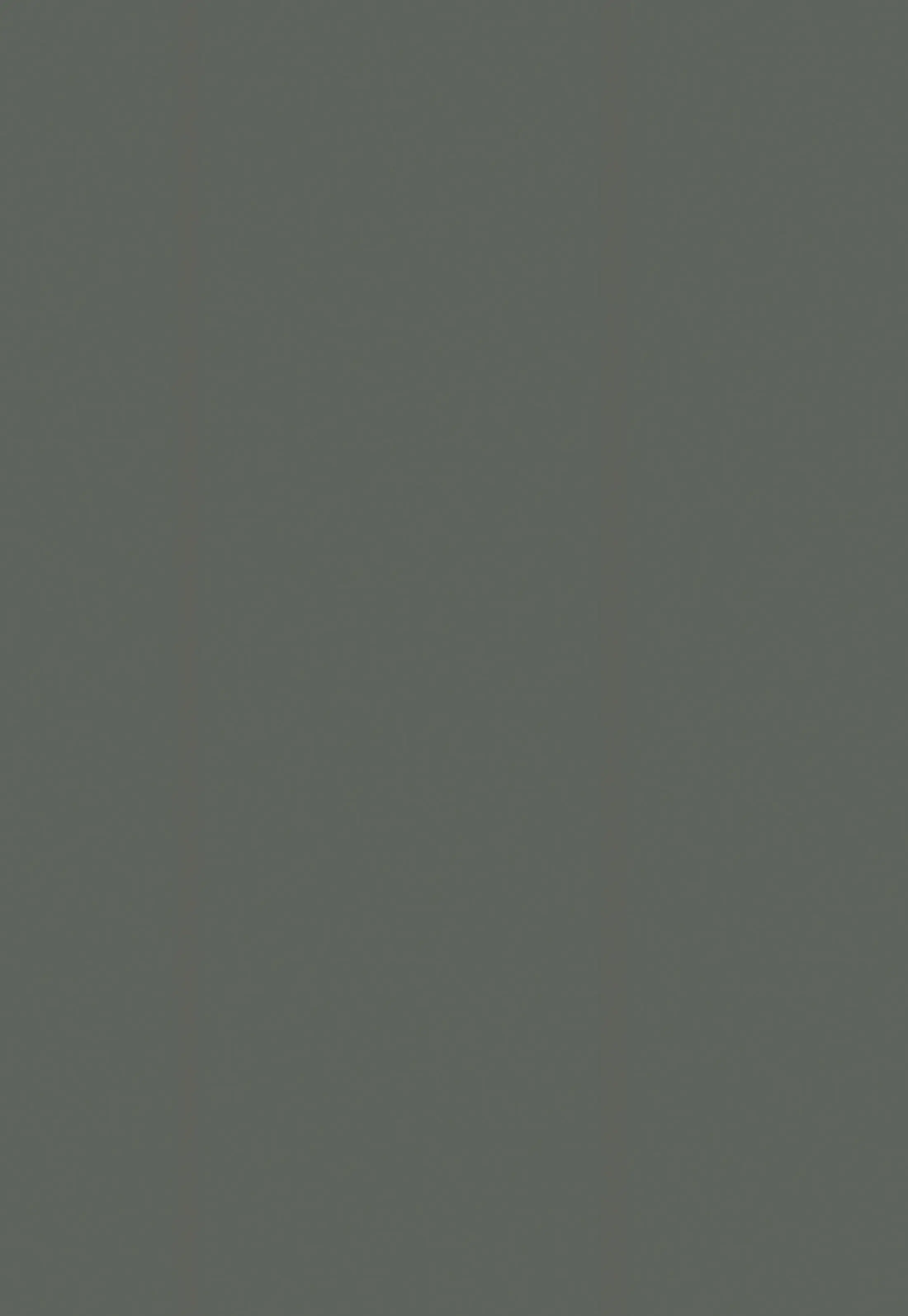 Çamsan Ordu Taş Gri MDFLAM